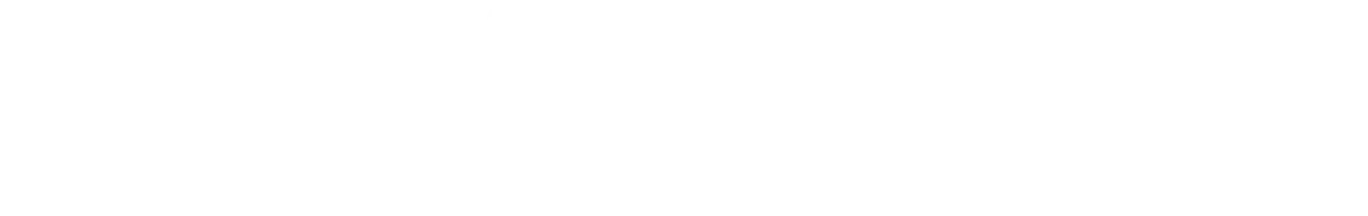 webdesign zürich Logo Neue Zürcher Zeitung